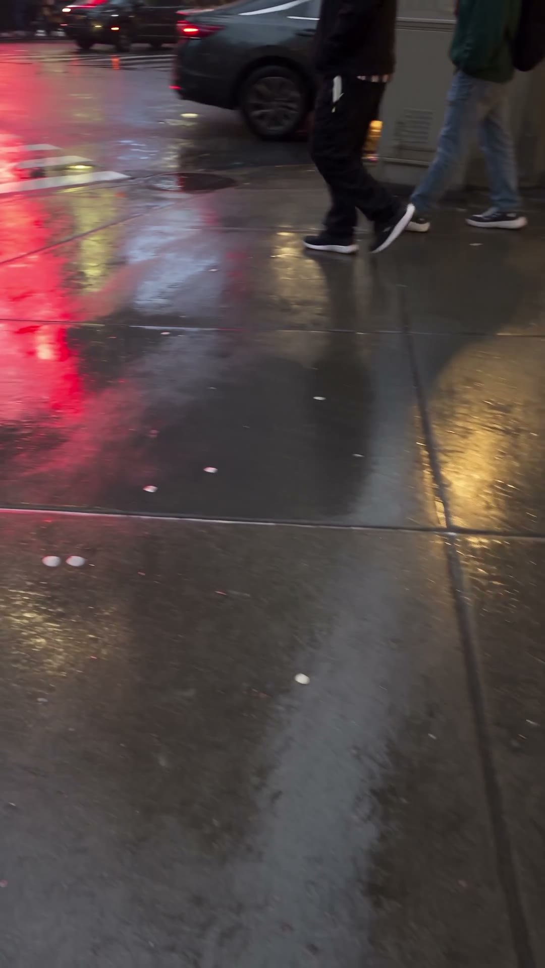 Urban Whale Encounter Video Prompt