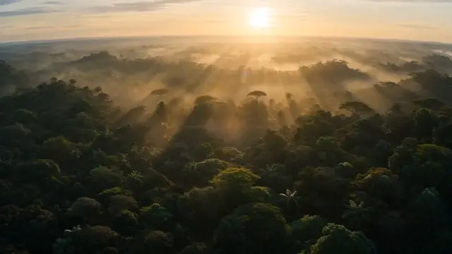 Cinematic Jungle Dance: Wild Transformation
