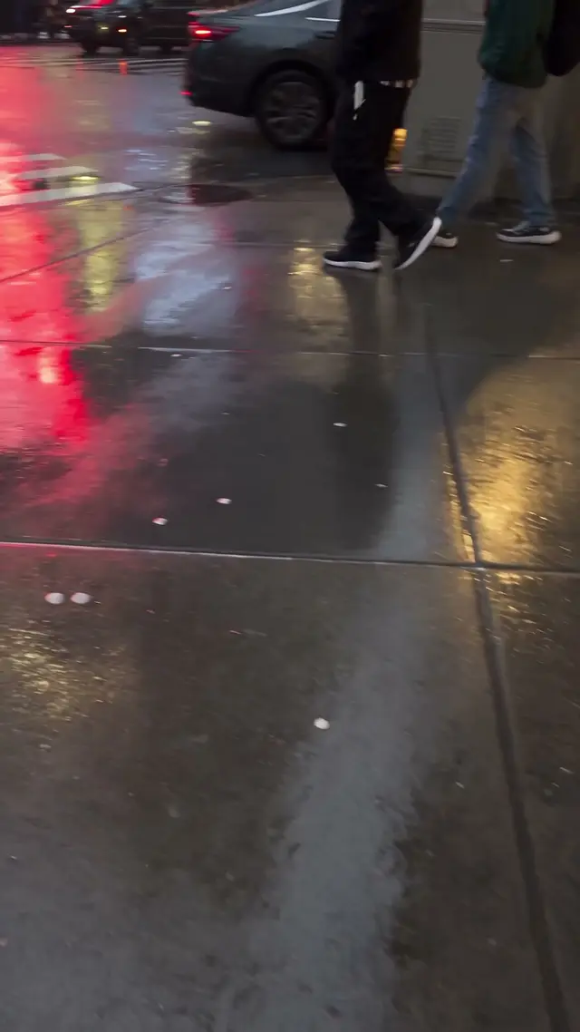 Urban Whale Encounter Video Prompt
